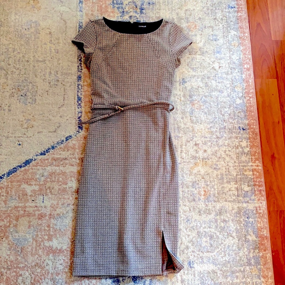 Express Work Professional Dress